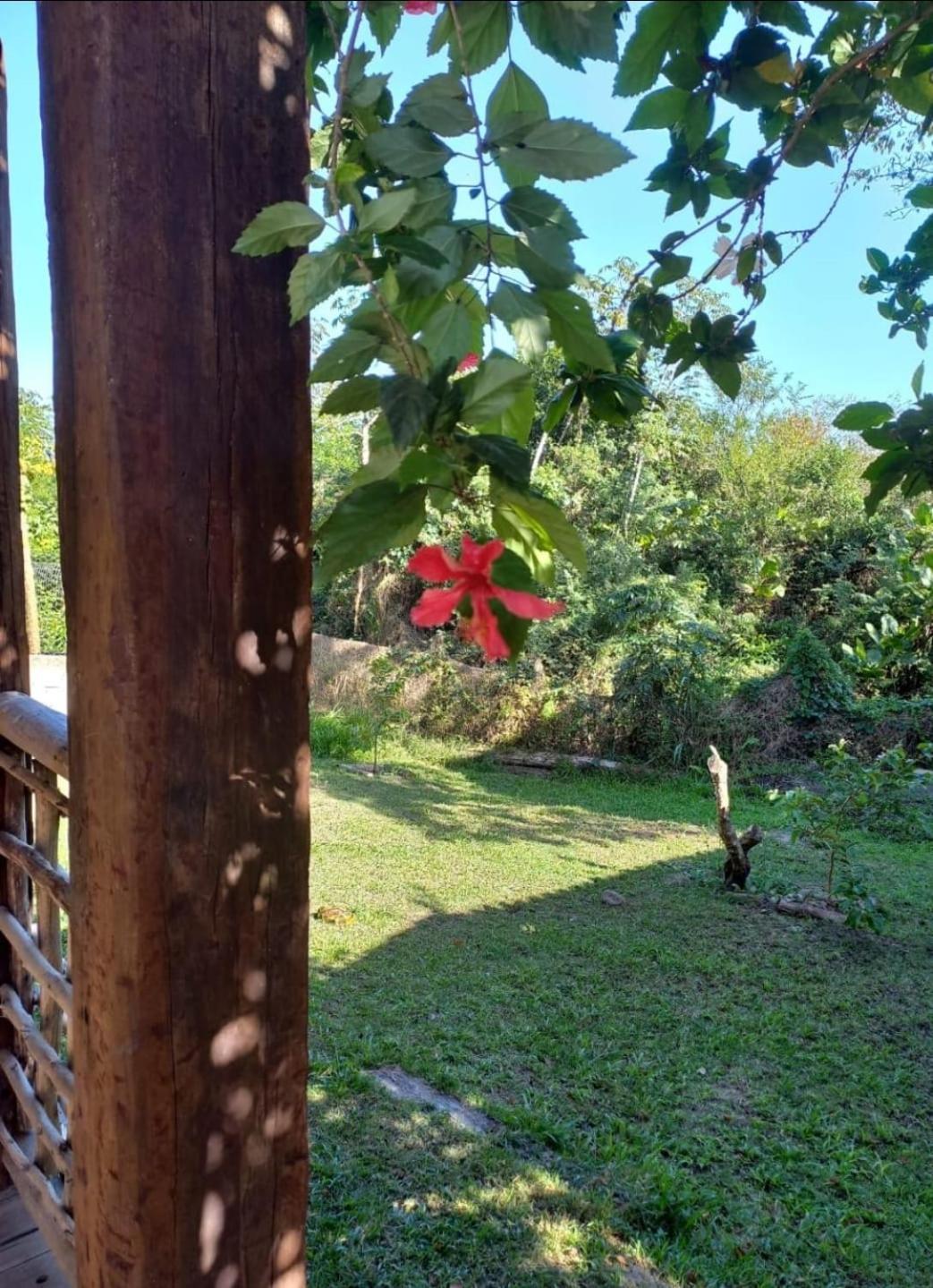 Vila Cizinho Itaunas  Exteriér fotografie